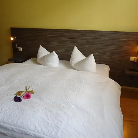 Stadthotel 3* Ratisbonne
