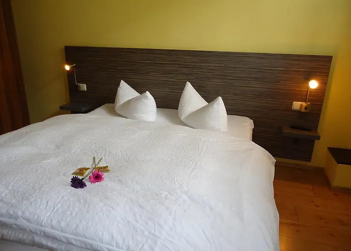 Stadthotel 3* רגנסבורג